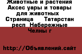 Животные и растения Аксесcуары и товары для животных - Страница 2 . Татарстан респ.,Набережные Челны г.